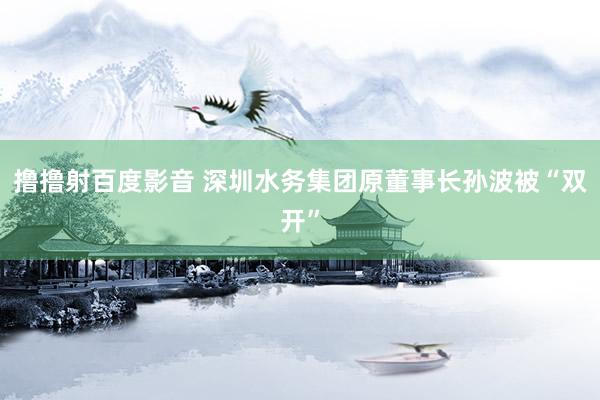 撸撸射百度影音 深圳水务集团原董事长孙波被“双开”