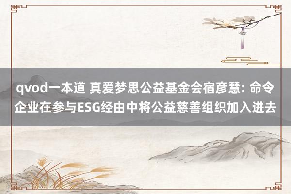 qvod一本道 真爱梦思公益基金会宿彦慧: 命令企业在参与ESG经由中将公益慈善组织加入进去