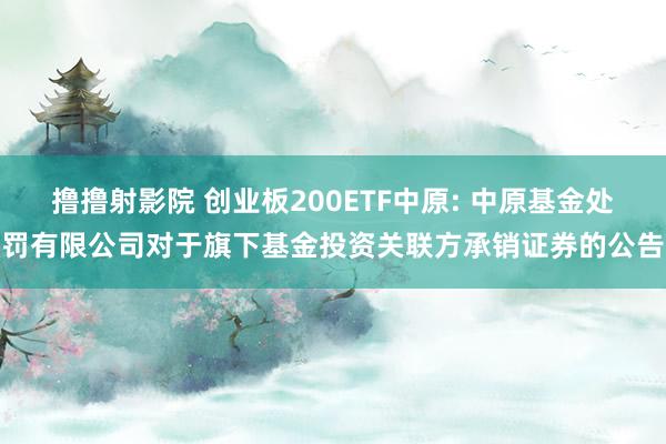 撸撸射影院 创业板200ETF中原: 中原基金处罚有限公司对于旗下基金投资关联方承销证券的公告