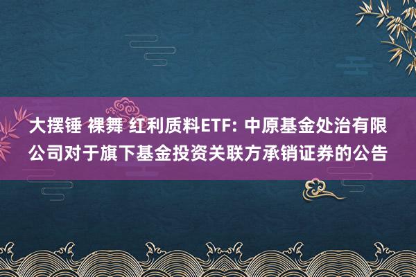 大摆锤 裸舞 红利质料ETF: 中原基金处治有限公司对于旗下基金投资关联方承销证券的公告