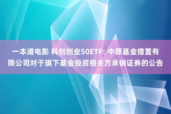 一本道电影 科创创业50ETF: 中原基金措置有限公司对于旗下基金投资相关方承销证券的公告