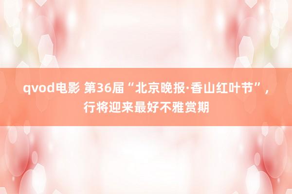 qvod电影 第36届“北京晚报·香山红叶节”，行将迎来最好不雅赏期