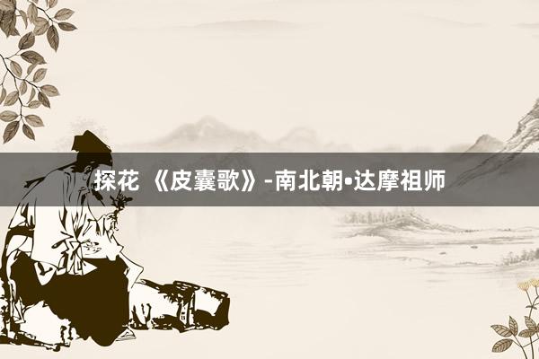 探花 《皮囊歌》-南北朝•达摩祖师