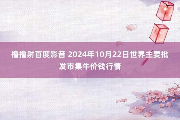 撸撸射百度影音 2024年10月22日世界主要批发市集牛价钱行情