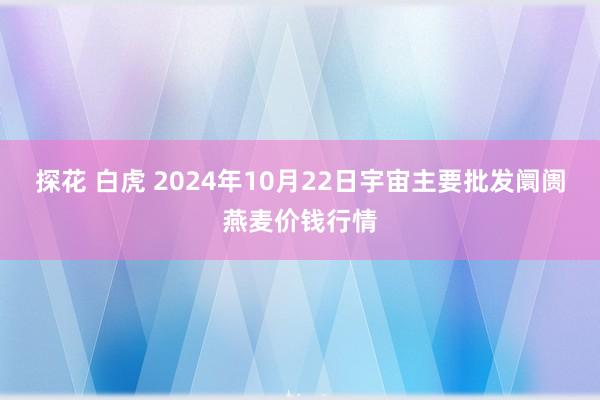 探花 白虎 2024年10月22日宇宙主要批发阛阓燕麦价钱行情