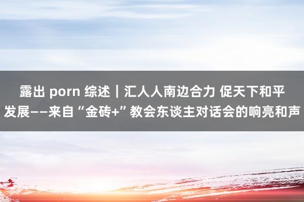露出 porn 综述｜汇人人南边合力 促天下和平发展——来自“金砖+”教会东谈主对话会的响亮和声