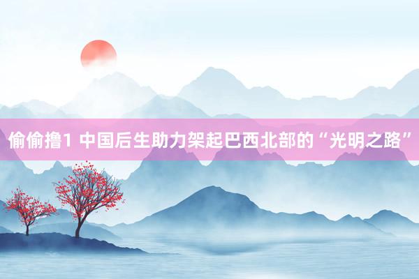 偷偷撸1 中国后生助力架起巴西北部的“光明之路”