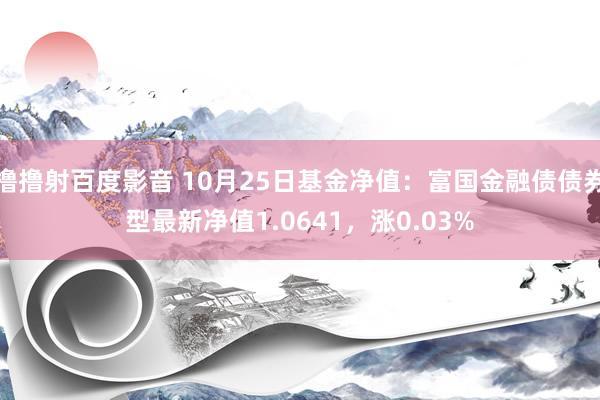 撸撸射百度影音 10月25日基金净值：富国金融债债券型最新净值1.0641，涨0.03%