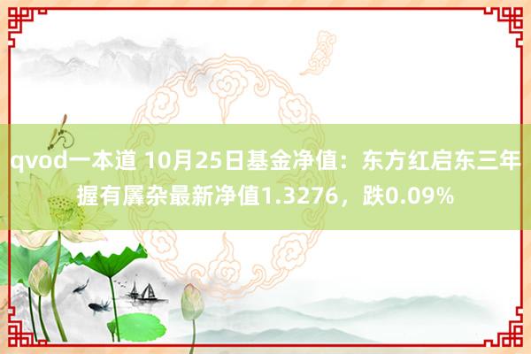 qvod一本道 10月25日基金净值：东方红启东三年握有羼杂最新净值1.3276，跌0.09%
