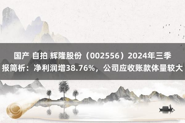 国产 自拍 辉隆股份（002556）2024年三季报简析：净利润增38.76%，公司应收账款体量较大