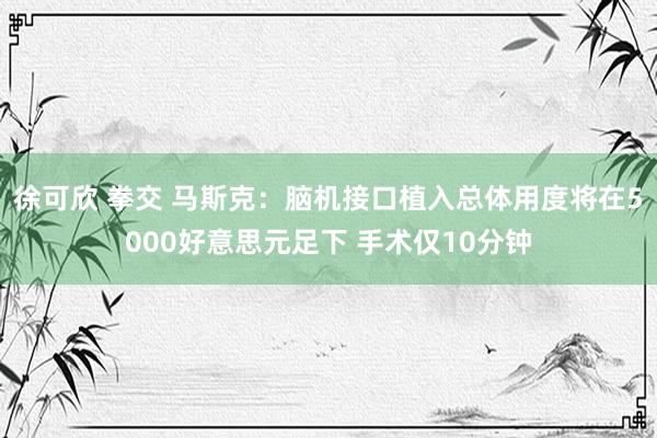 徐可欣 拳交 马斯克：脑机接口植入总体用度将在5000好意思元足下 手术仅10分钟