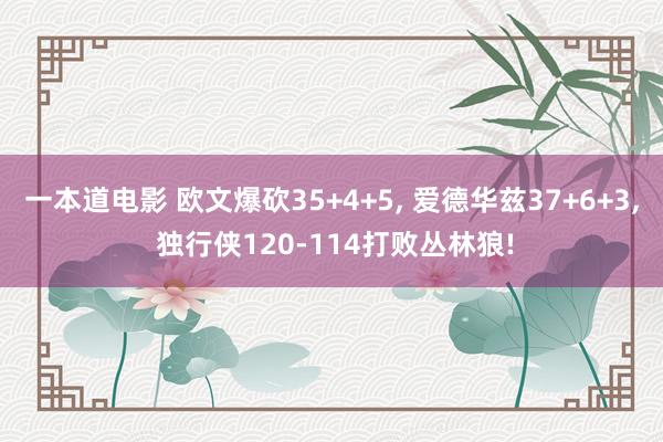 一本道电影 欧文爆砍35+4+5， 爱德华兹37+6+3， 独行侠120-114打败丛林狼!
