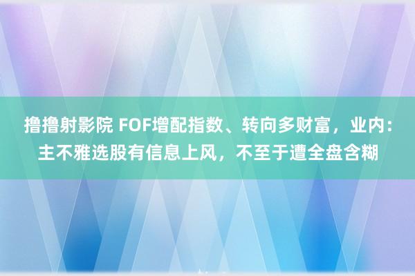 撸撸射影院 FOF增配指数、转向多财富，业内：主不雅选股有信息上风，不至于遭全盘含糊
