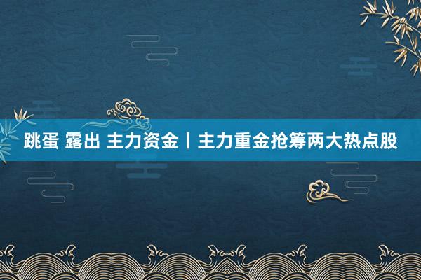 跳蛋 露出 主力资金丨主力重金抢筹两大热点股