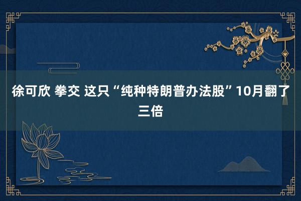 徐可欣 拳交 这只“纯种特朗普办法股”10月翻了三倍