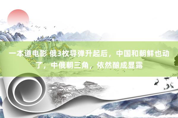一本道电影 俄3枚导弹升起后，中国和朝鲜也动了，中俄朝三角，依然酿成显露