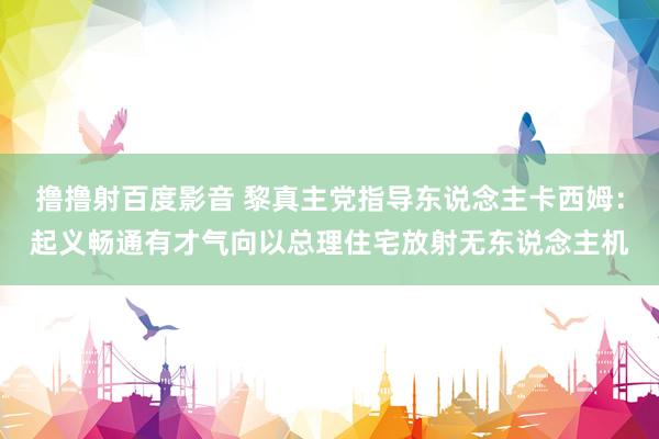撸撸射百度影音 黎真主党指导东说念主卡西姆：起义畅通有才气向以总理住宅放射无东说念主机