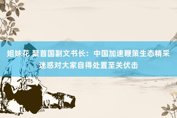 姐妹花 聚首国副文书长：中国加速鞭策生态精采迷惑对大家自得处置至关伏击