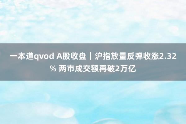 一本道qvod A股收盘｜沪指放量反弹收涨2.32% 两市成交额再破2万亿