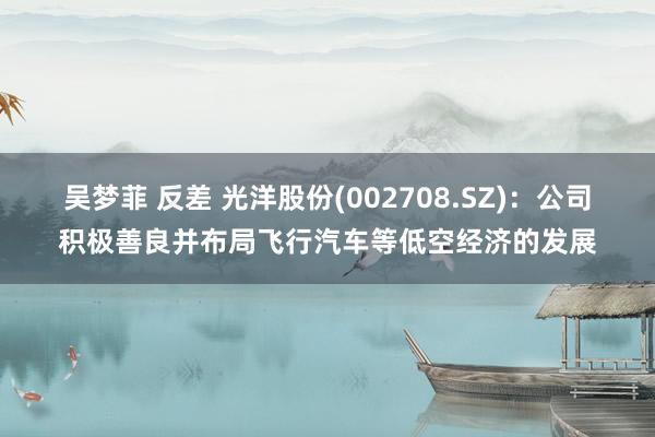 吴梦菲 反差 光洋股份(002708.SZ)：公司积极善良并布局飞行汽车等低空经济的发展