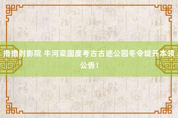 撸撸射影院 牛河梁国度考古古迹公园冬令绽开本领公告！