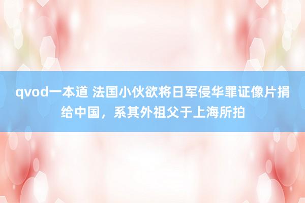 qvod一本道 法国小伙欲将日军侵华罪证像片捐给中国，系其外祖父于上海所拍
