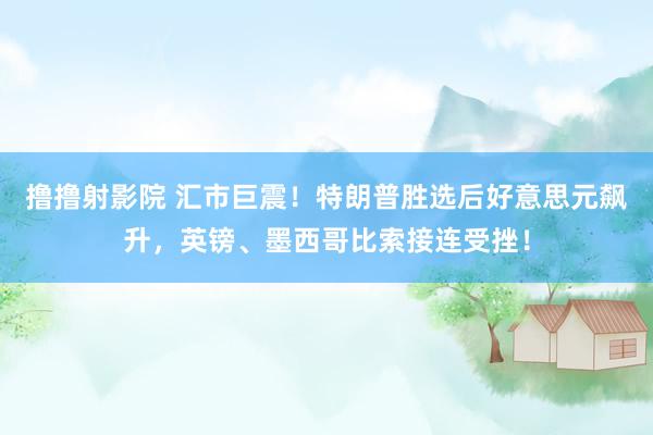 撸撸射影院 汇市巨震！特朗普胜选后好意思元飙升，英镑、墨西哥比索接连受挫！