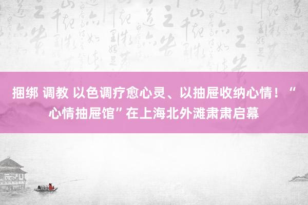 捆绑 调教 以色调疗愈心灵、以抽屉收纳心情！“心情抽屉馆”在上海北外滩肃肃启幕