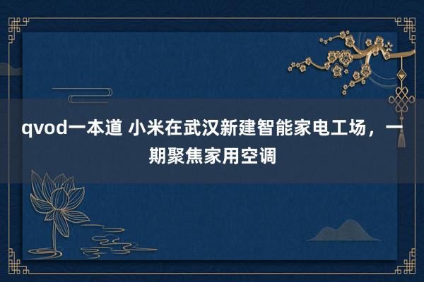 qvod一本道 小米在武汉新建智能家电工场，一期聚焦家用空调