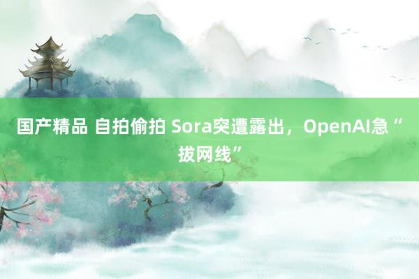 国产精品 自拍偷拍 Sora突遭露出，OpenAI急“拔网线”