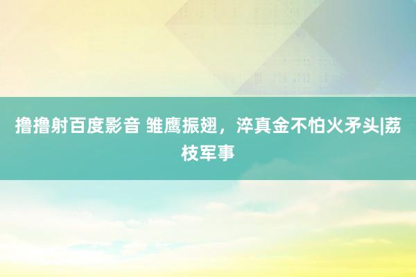 撸撸射百度影音 雏鹰振翅，淬真金不怕火矛头|荔枝军事
