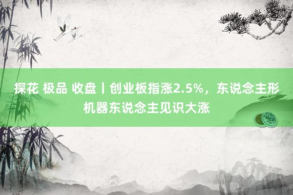 探花 极品 收盘丨创业板指涨2.5%，东说念主形机器东说念主见识大涨