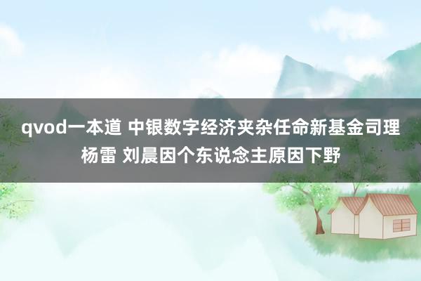 qvod一本道 中银数字经济夹杂任命新基金司理杨雷 刘晨因个东说念主原因下野