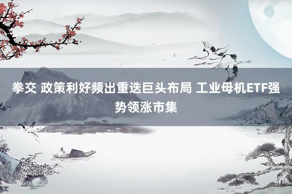 拳交 政策利好频出重迭巨头布局 工业母机ETF强势领涨市集