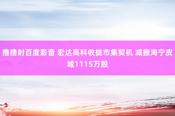 撸撸射百度影音 宏达高科收拢市集契机 减握海宁皮城1115万股