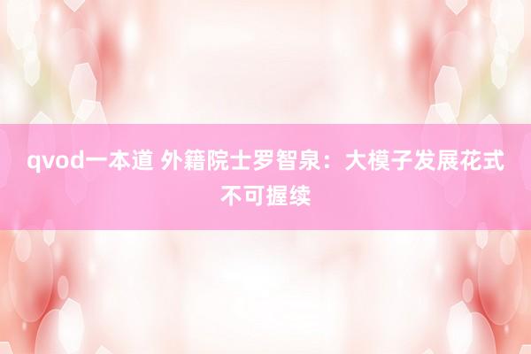 qvod一本道 外籍院士罗智泉：大模子发展花式不可握续
