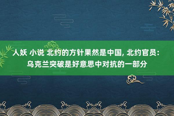 人妖 小说 北约的方针果然是中国， 北约官员: 乌克兰突破是好意思中对抗的一部分