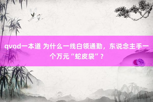 qvod一本道 为什么一线白领通勤，东说念主手一个万元“蛇皮袋”？