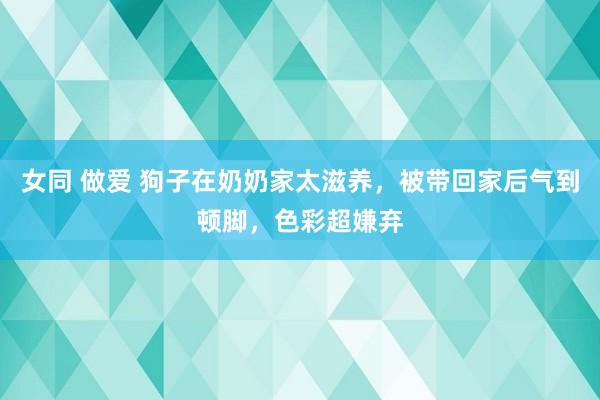 女同 做爱 狗子在奶奶家太滋养，被带回家后气到顿脚，色彩超嫌弃