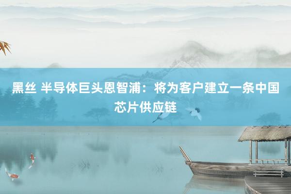黑丝 半导体巨头恩智浦：将为客户建立一条中国芯片供应链