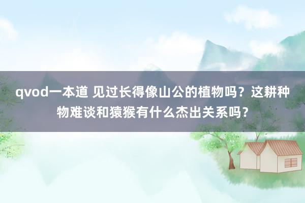 qvod一本道 见过长得像山公的植物吗？这耕种物难谈和猿猴有什么杰出关系吗？