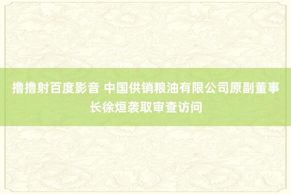 撸撸射百度影音 中国供销粮油有限公司原副董事长徐烜袭取审查访问