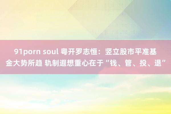 91porn soul 粤开罗志恒：竖立股市平准基金大势所趋 轨制遐想重心在于“钱、管、投、退”