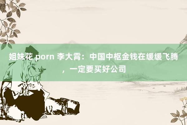 姐妹花 porn 李大霄：中国中枢金钱在缓缓飞腾，一定要买好公司