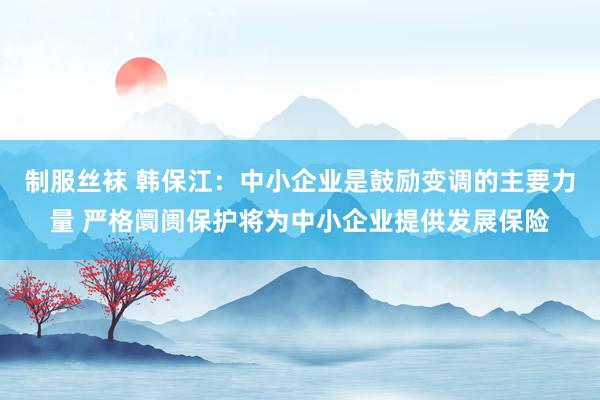 制服丝袜 韩保江：中小企业是鼓励变调的主要力量 严格阛阓保护将为中小企业提供发展保险