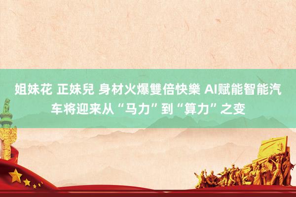 姐妹花 正妹兒 身材火爆雙倍快樂 AI赋能智能汽车将迎来从“马力”到“算力”之变