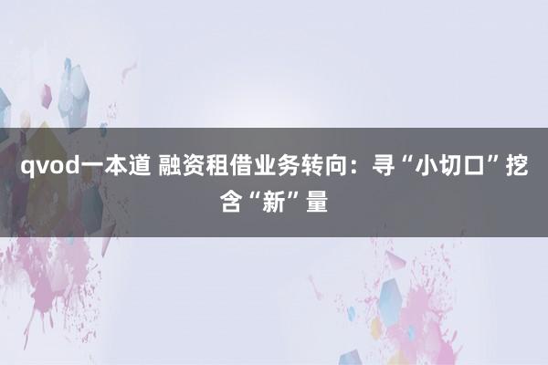 qvod一本道 融资租借业务转向：寻“小切口”挖含“新”量