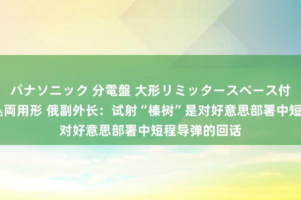 パナソニック 分電盤 大形リミッタースペース付 露出・半埋込両用形 俄副外长：试射“榛树”是对好意思部署中短程导弹的回话