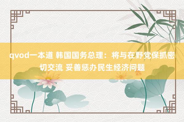 qvod一本道 韩国国务总理：将与在野党保抓密切交流 妥善惩办民生经济问题