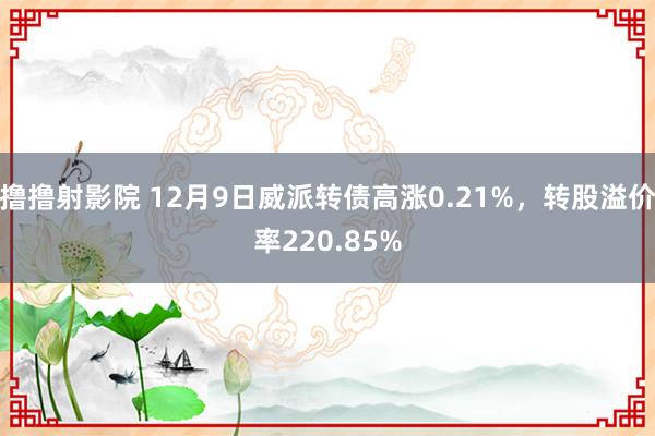 撸撸射影院 12月9日威派转债高涨0.21%，转股溢价率220.85%
